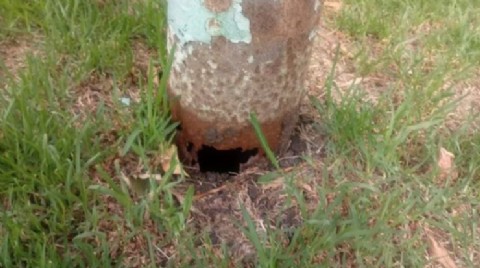 El EMVIAL deberá pagar más de 3 millones de pesos tras la caída de una columna sobre un auto