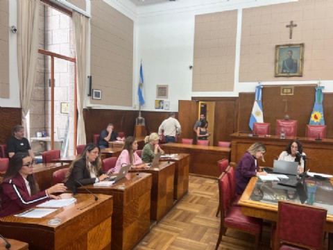 VIDEO | Se reunió la comisión de derechos humanos y discapacidad en el Concejo