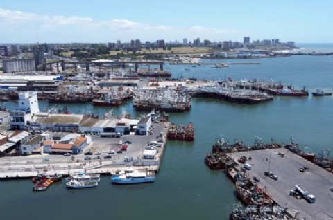 VIDEO | Detectaron en el Puerto niveles de trimetilamina que superan hasta 870 veces los parámetros internacionales