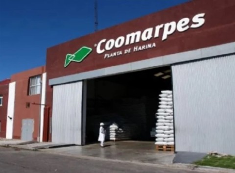 Denuncian que harineras del Puerto operaron sin controles online y apuntan contra el juez Inchausti