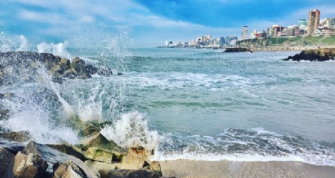 Mar del Plata celebrará el Día Mundial de los Océanos con una jornada gratuita de cine y conservación marina