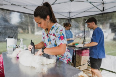La Municipalidad anunció nuevas ubicaciones de quirófanos móviles para castrar perros y gatos