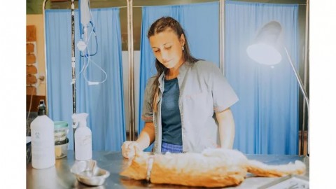 Nuevas ubicaciones de los quirófanos móviles para animales