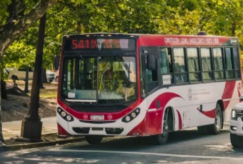 Nuevos recorridos de cuatro líneas de colectivos en el Microcentro
