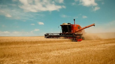 VIDEO | Producción, capacitación e innovación marcaron el año del municipio en el sector agropecuario