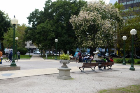 El Municipio refuerza el mantenimiento y la limpieza en Plaza San Martín