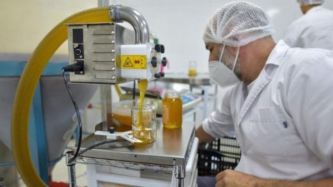 Mar del Plata vuelve a exportar miel fraccionada a Estados Unidos