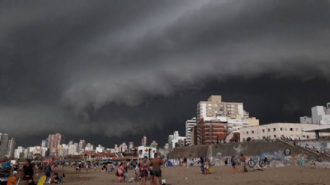 Temporal en la ciudad: volaron sombrillas, cayeron árboles y hubo un herido