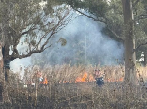 VIDEO | Un incendio en Aeroparque expuso el abandono municipal y desató fuertes críticas a la gestión interina