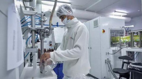 Empleo, formación y desarrollo emprendedor: en 2025 el Municipio contactó a 2500 postulantes con empresas de la ciudad