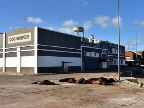 La Justicia reabre el foco sobre COOMARPES y advierte que el daño ambiental podría seguir activo en el puerto