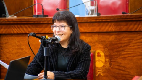 VIDEO | La comisión de Educación avanzó con el tratamiento de quince expedientes en el Concejo