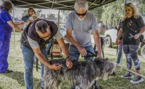 Se suman nuevos puntos de castración y vacunación antirrábica para mascotas