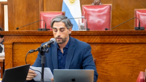 VIDEO | Movilidad urbana: avanzó el proyecto para licitar el transporte público en general pueyrredon