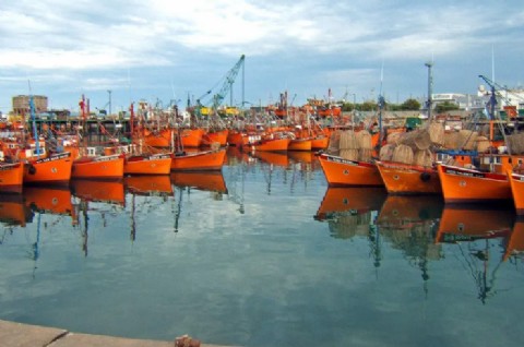 VIDEO | Contaminación en el Puerto, una causa de más de 20 años sigue abierta y vuelve a poner en foco a las harineras