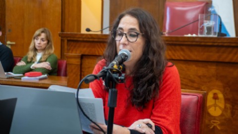 La Comisión de Derechos Humanos del HCD trató varios proyectos de comunicación