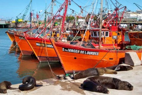 Señalan que en el puerto que se habrían validado informes sin sustento técnico para ocultar contaminación