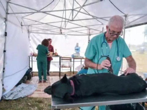 Nuevas ubicaciones de los quirófanos móviles para animales