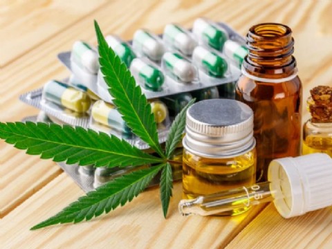 Salud: se presentaron actores que promueven el uso regulado del cannabis medicinal