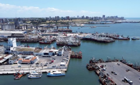 VIDEO | Dos décadas de denuncias ignoradas: la Justicia confirmó contaminación grave en el puerto