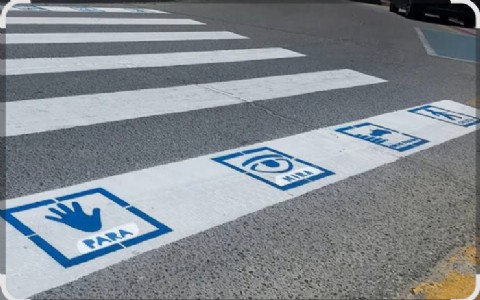 VIDEO | Ricardo Liceaga Viñas impulsa un programa de pictogramas inclusivos en sendas peatonales