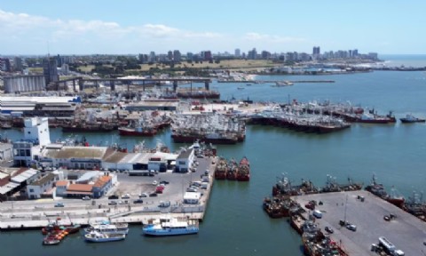 VIDEO | Harineras bajo sospecha: olores, denuncias, causas judiciales y controles cuestionados