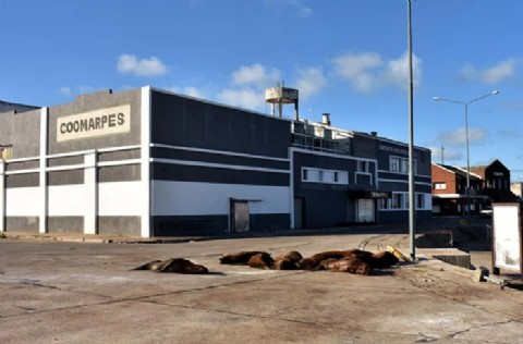 Amplían el expediente judicial por presunto ecocidio con nuevas actuaciones en la ciudad