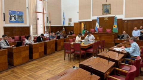 VIDEO | Salud: piden reactivar la Comisión ad honorem de Zoonosis