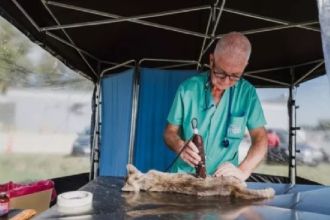 Zoonosis anunció nuevas ubicaciones de quirófanos móviles para castración de perros y gatos