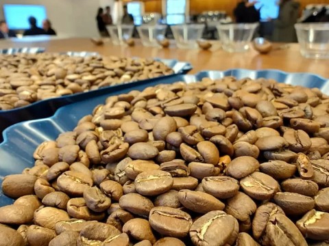 Cabrales y el Municipio de General Pueyrredon renuevan su alianza para la formación de baristas