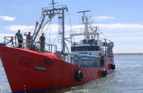 Vilma Baragiola pidió declarar la emergencia y advirtió que la flota fresquera pone en riesgo miles de empleos