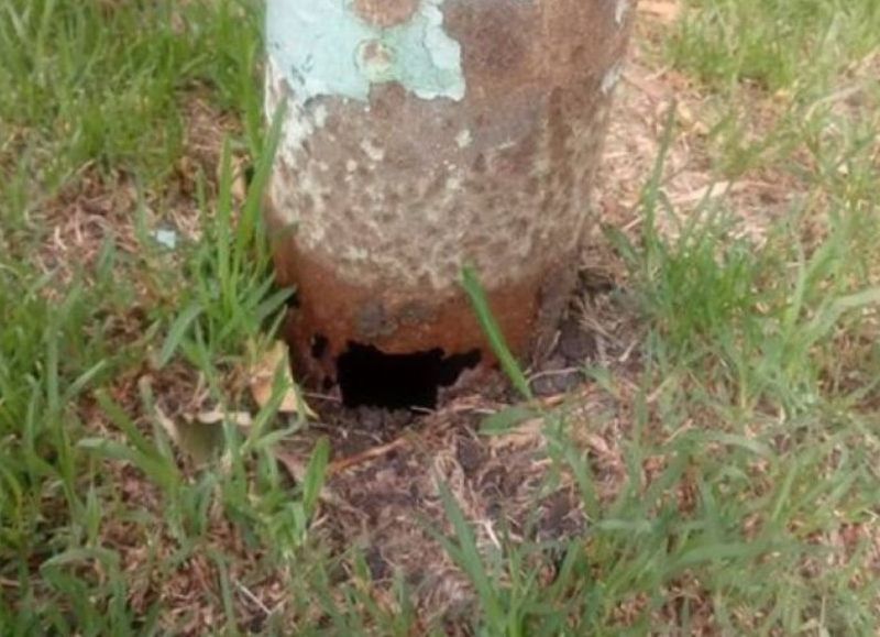 El EMVIAL deberá pagar más de 3 millones de pesos tras la caída de una columna sobre un auto