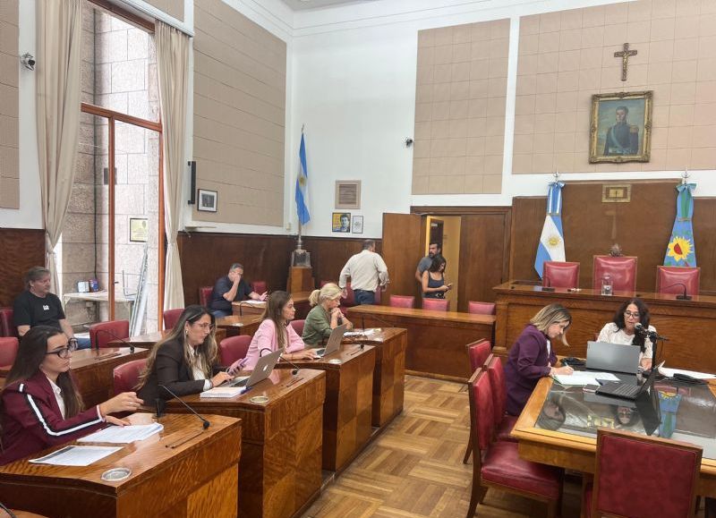 VIDEO | Se reunió la comisión de derechos humanos y discapacidad en el Concejo