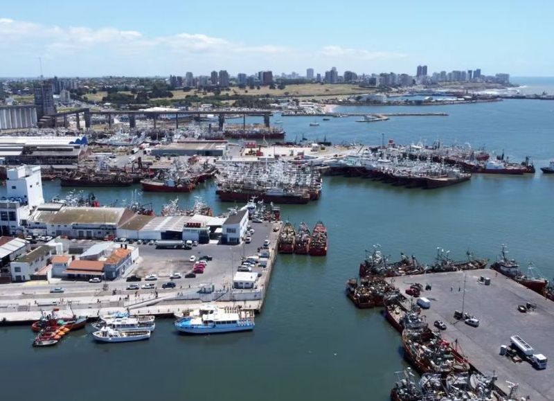 VIDEO | Detectaron en el Puerto niveles de trimetilamina que superan hasta 870 veces los parámetros internacionales