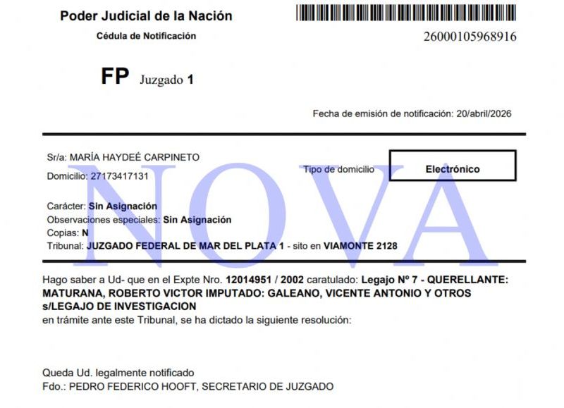 VIDEO | La causa ambiental del puerto suma informes sobre vertidos y funcionamiento irregular de plantas