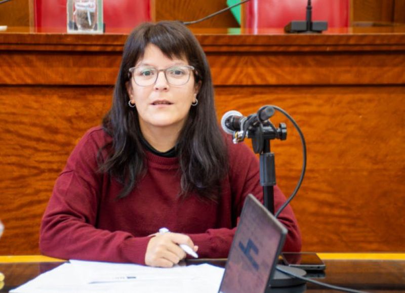 La Comisión de Educación abrió la actividad legislativa con el tratamiento de 16 expedientes