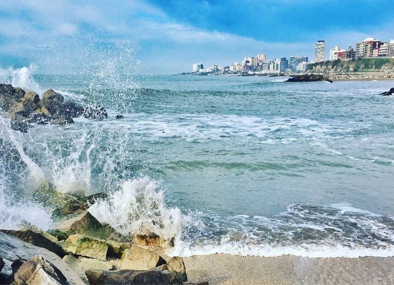 Mar del Plata celebrará el Día Mundial de los Océanos con una jornada gratuita de cine y conservación marina