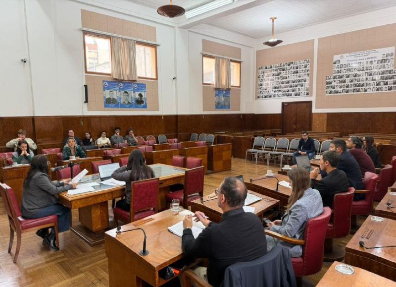 VIDEO | La Comisión de Educación trató 18 expedientes con foco en cultura y museos