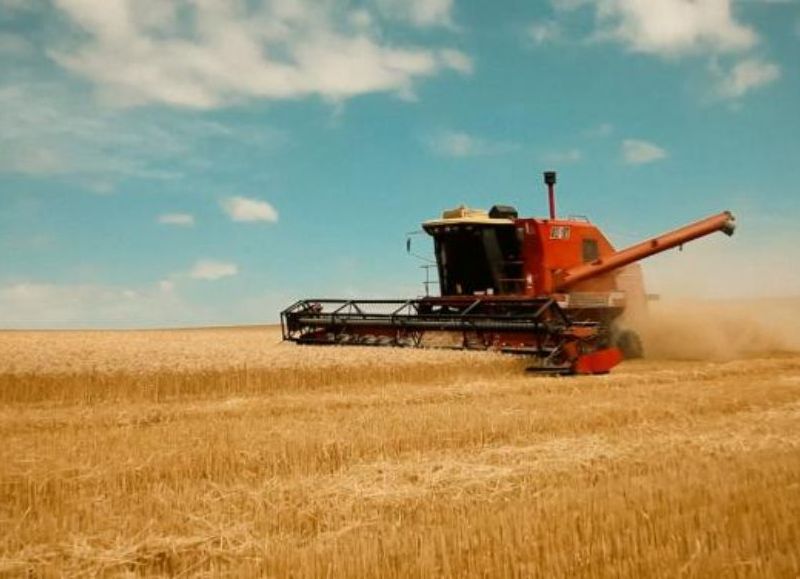 VIDEO | Producción, capacitación e innovación marcaron el año del municipio en el sector agropecuario