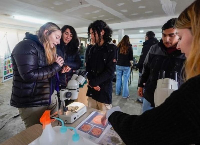 Más de 70 personas participaron de una jornada de capacitación sobre apicultura, polinización y producción de kiwi