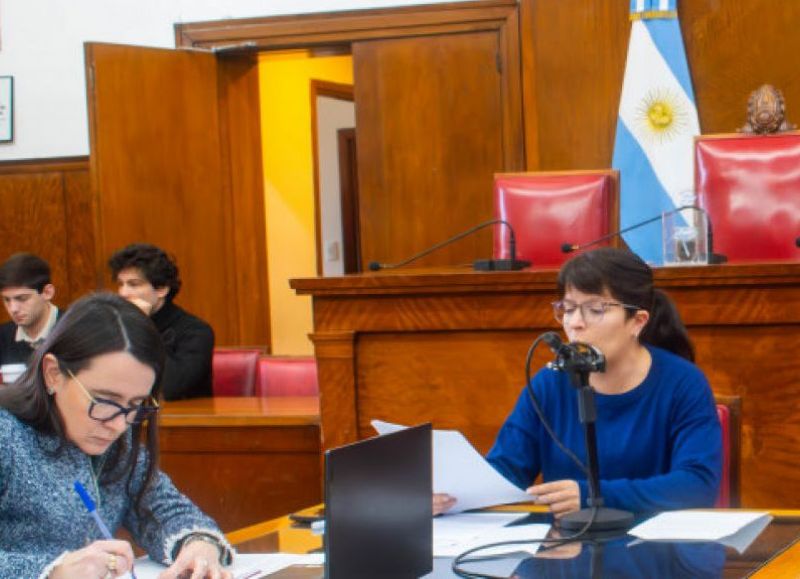 La Comisión de Educación avanzó con once expedientes vinculados a cultura, ciencia e investigación