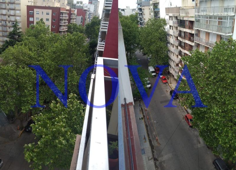 Crece el malestar vecinal por la inacción del EMSUr: apuntan a Bonifatti por la falta de poda