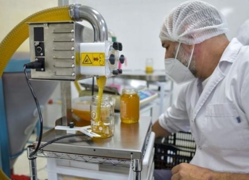 Mar del Plata vuelve a exportar miel fraccionada a Estados Unidos