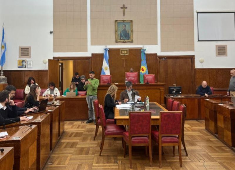 VIDEO | Salud: proyecto para promover adopciones