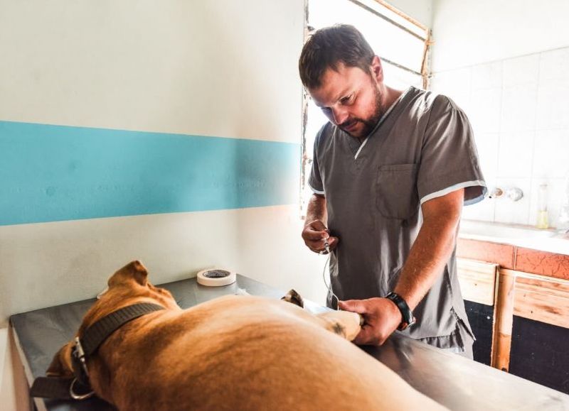 Nuevas ubicaciones de los quirófanos móviles para animales