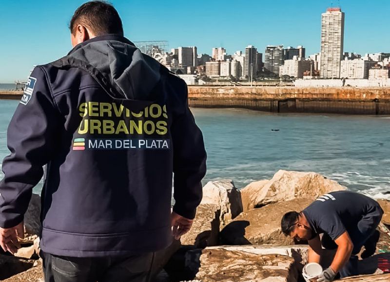 EMSUR realizó limpieza y desratización en el Torreón del Monje y Paseo Dávila