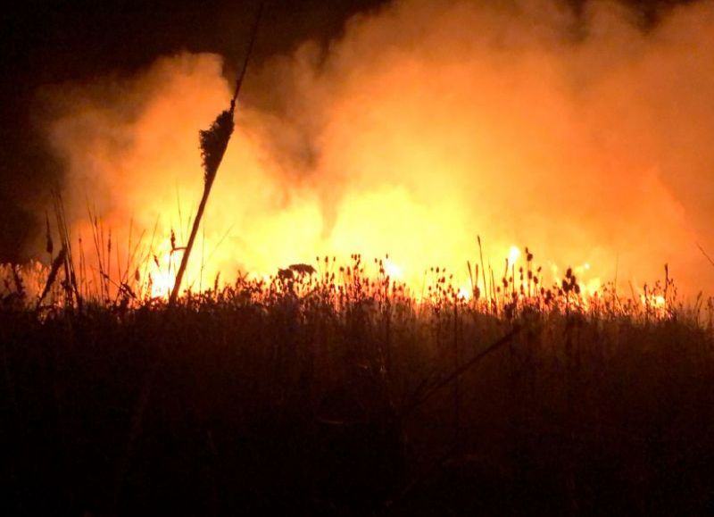 Otro incendio de pastizales ocurrió en Mar del Plata