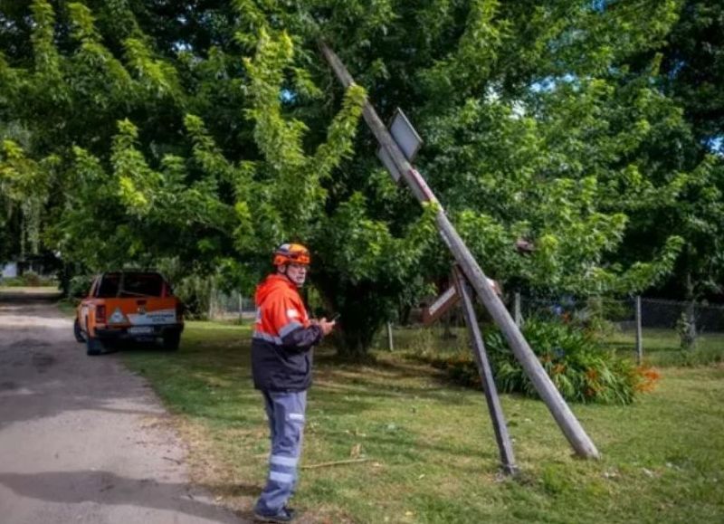 Fuertes vientos: el Municipio realizó más de 30 intervenciones por daños en la vía pública