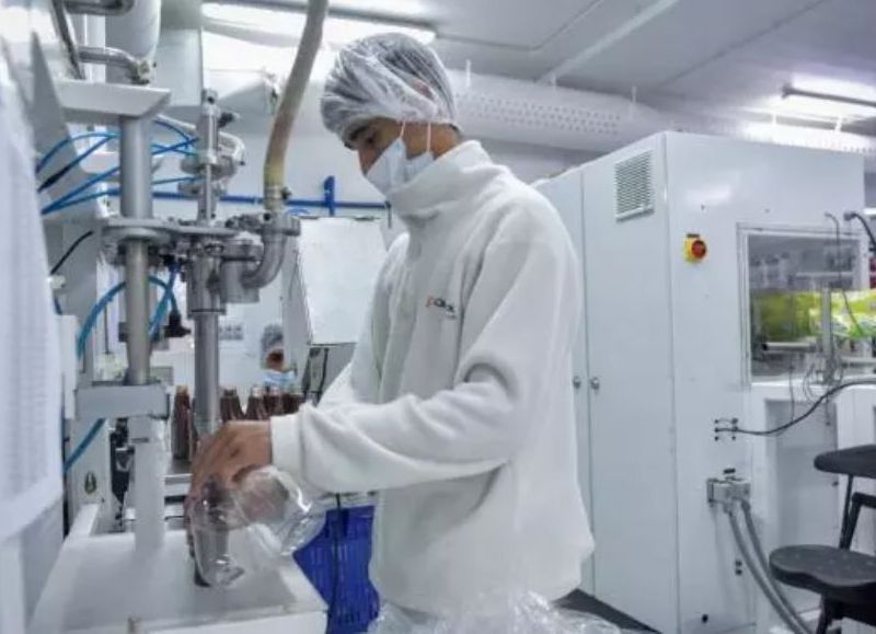 Empleo, formación y desarrollo emprendedor: en 2025 el Municipio contactó a 2500 postulantes con empresas de la ciudad