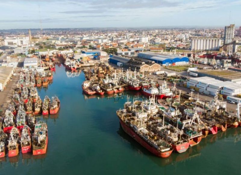 VIDEO | Denuncian que harineras del puerto operan sin controles ambientales y exponen a vecinos a gases tóxicos